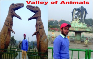 valley-of-animals